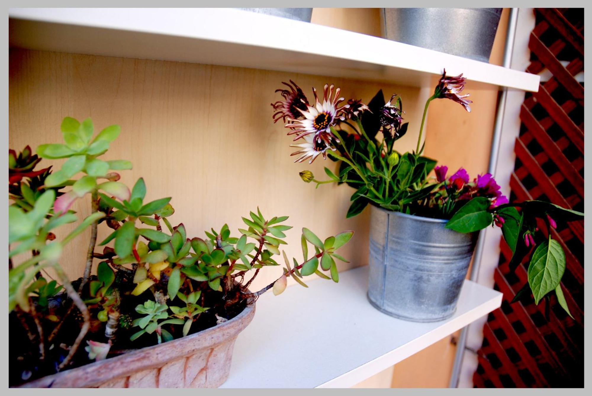 Holiday Rome Apartment Roma